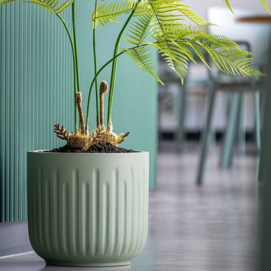 Arcus Sage Green