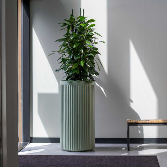 Turris Sage Green