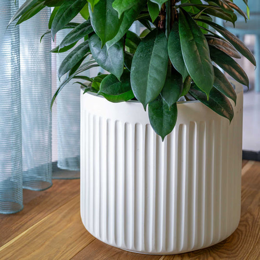 Turris Silk White