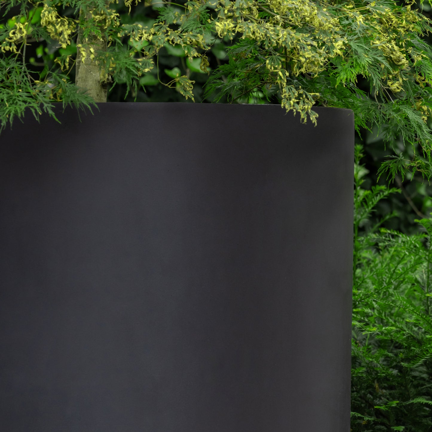Jumbo Max Black