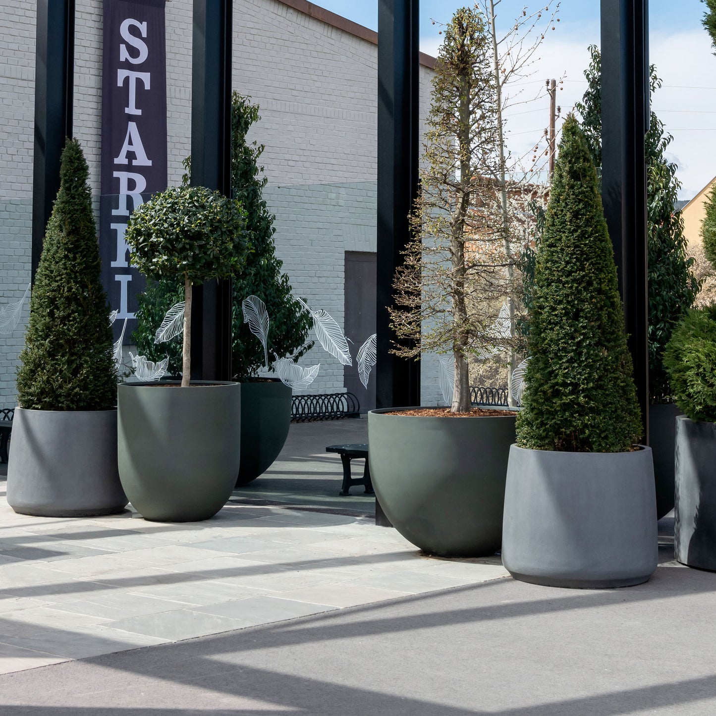 Jumbo Mila Clouded Grey