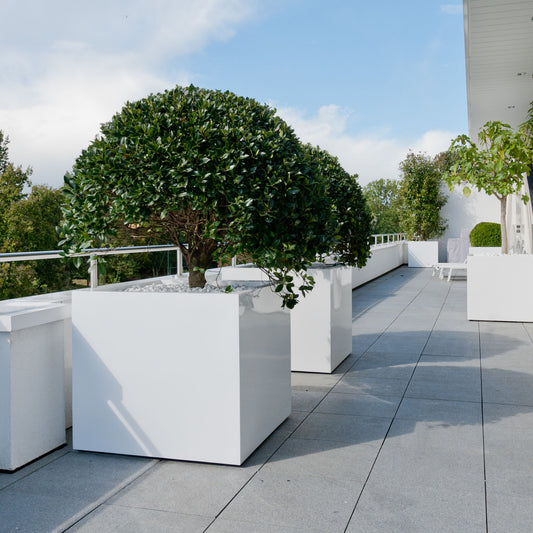 Jumbo Glossy White
