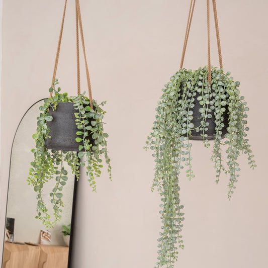 Patt Black Washed (Hanging)