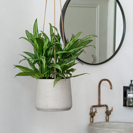 Patt Grey Washed (Hanging)