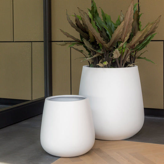 Pax Glossy White