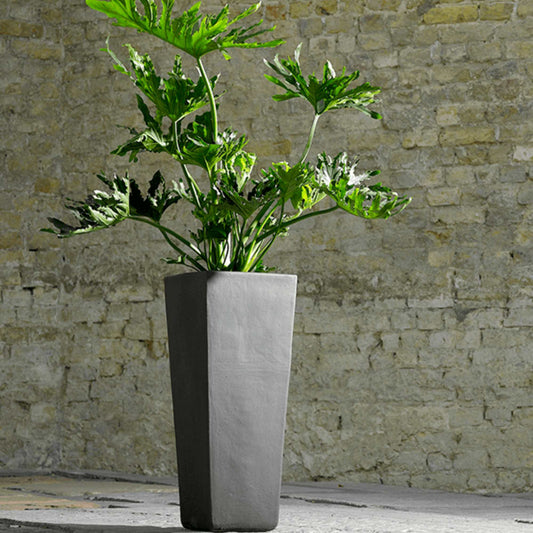 Plain Kubis Anthracite