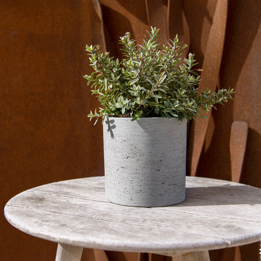 Puk Grey Washed