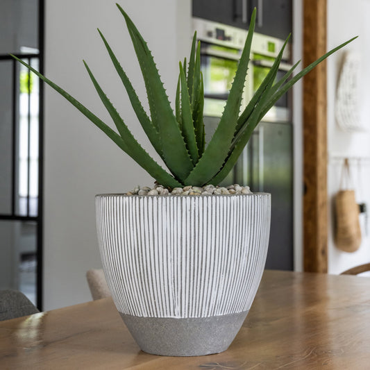Jesslyn White Stripe