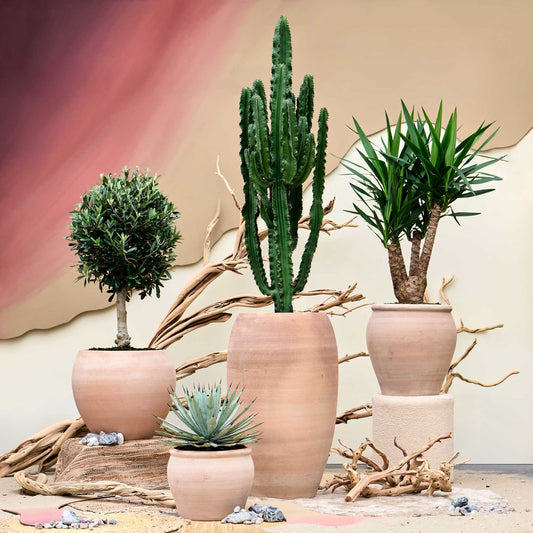 Terra Antica Roma Chalk White