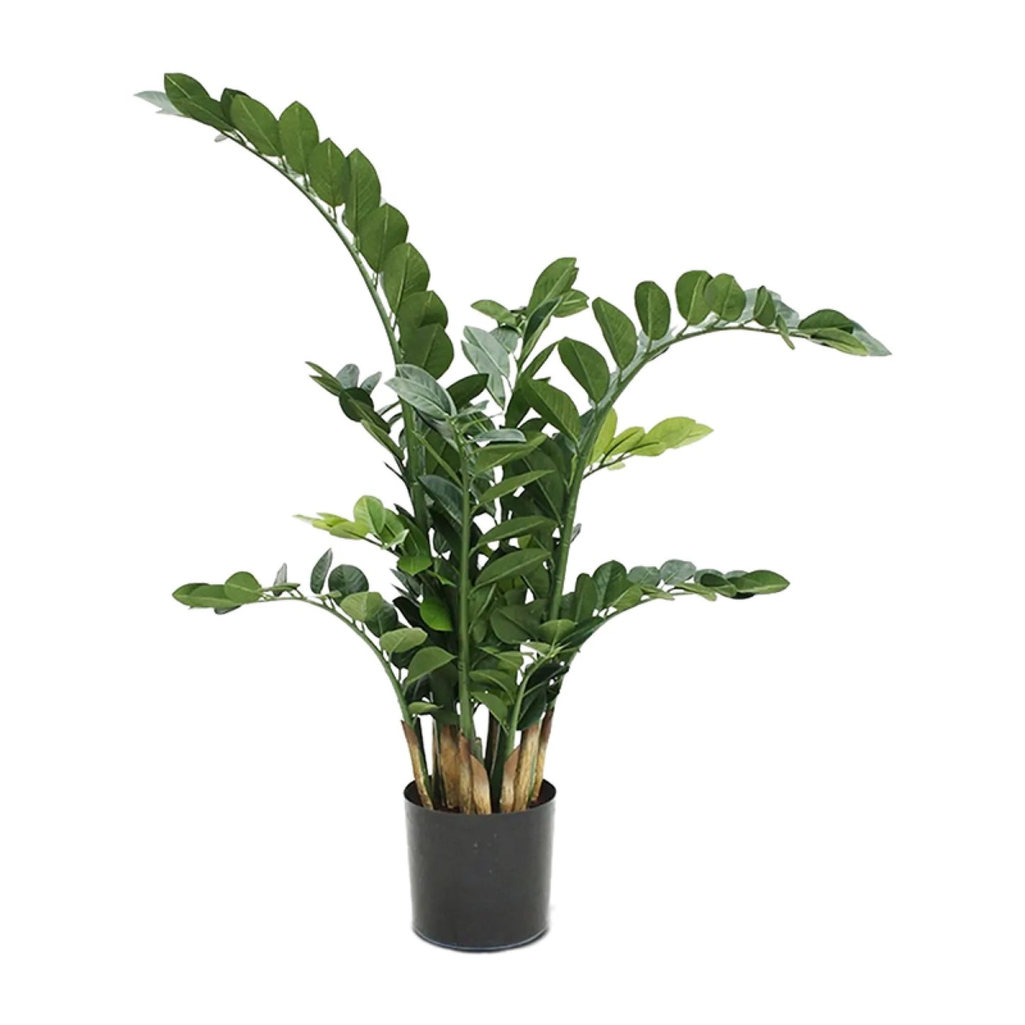 Zamioculcas Zamiifolia umělý