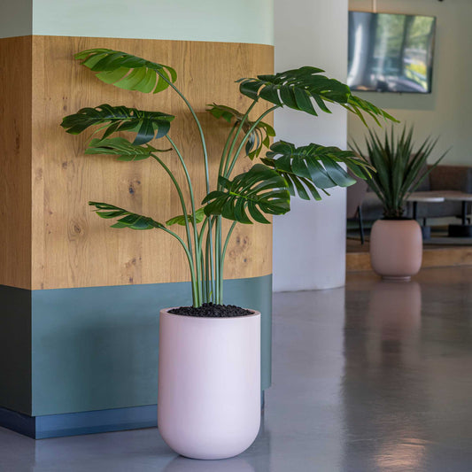 Zenith Powder Pink