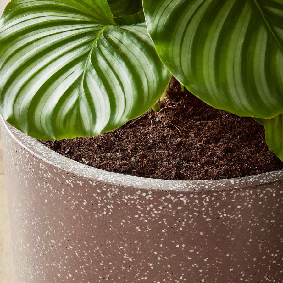 Terrazzo