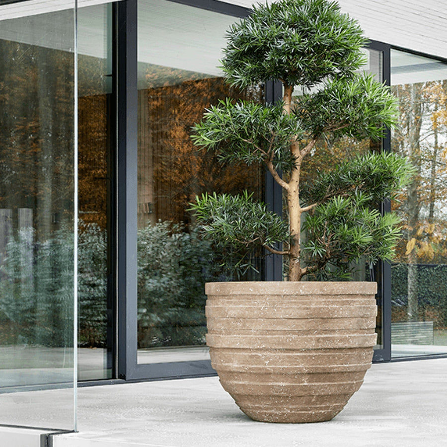 Polystone Coated
