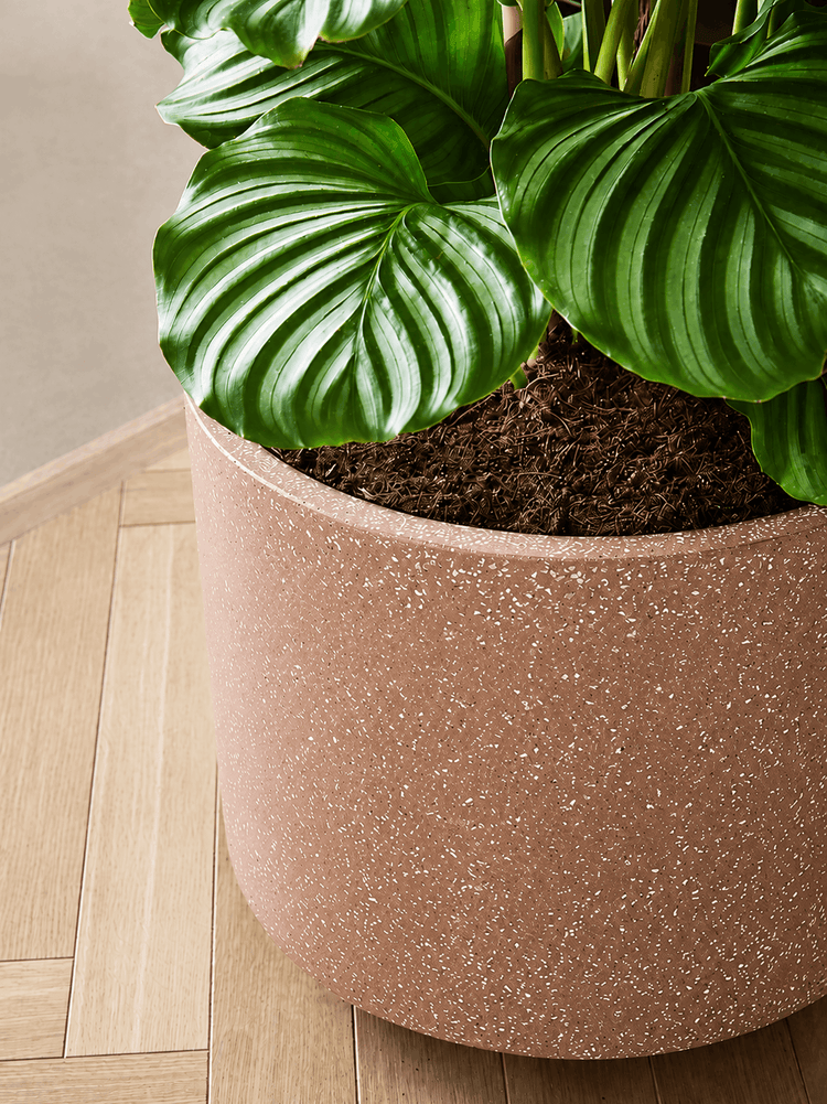 Terrazzo