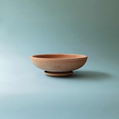 Ada RAW Rosa