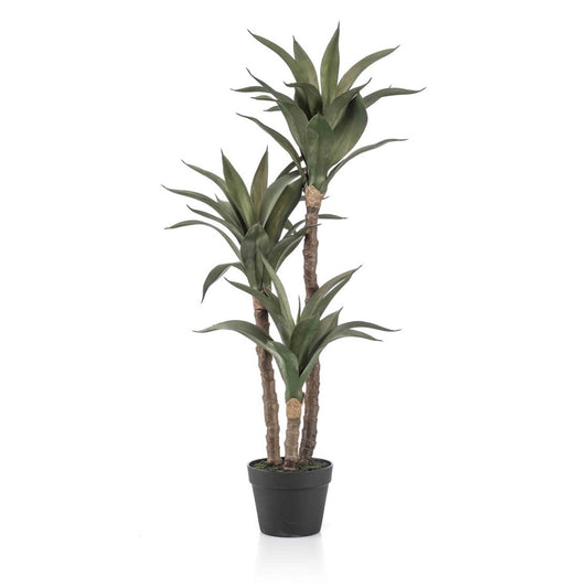 Agave umělá