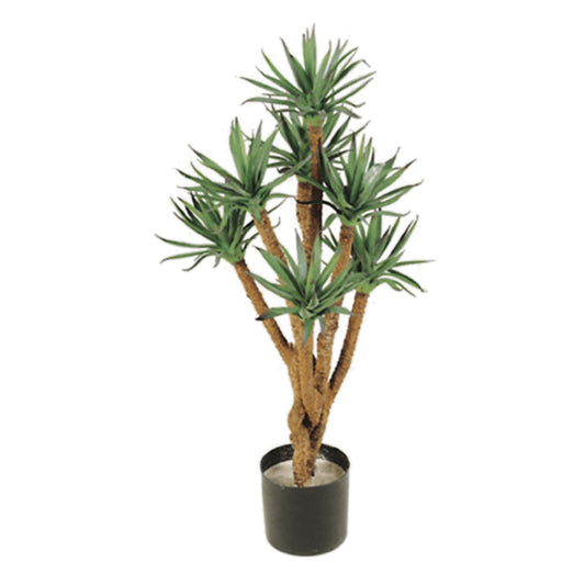 Agave umělá