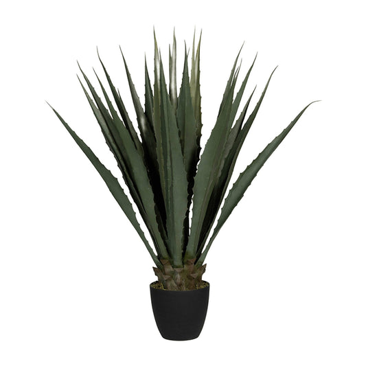 Agave umělá