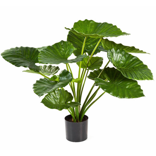 Alocasia Calidora umělá