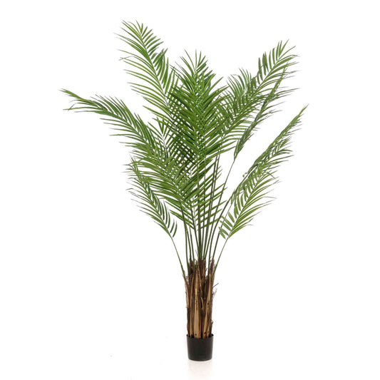 Areca umělá