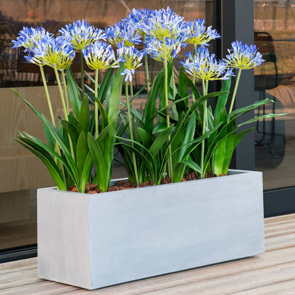 Argento Box Natural Grey
