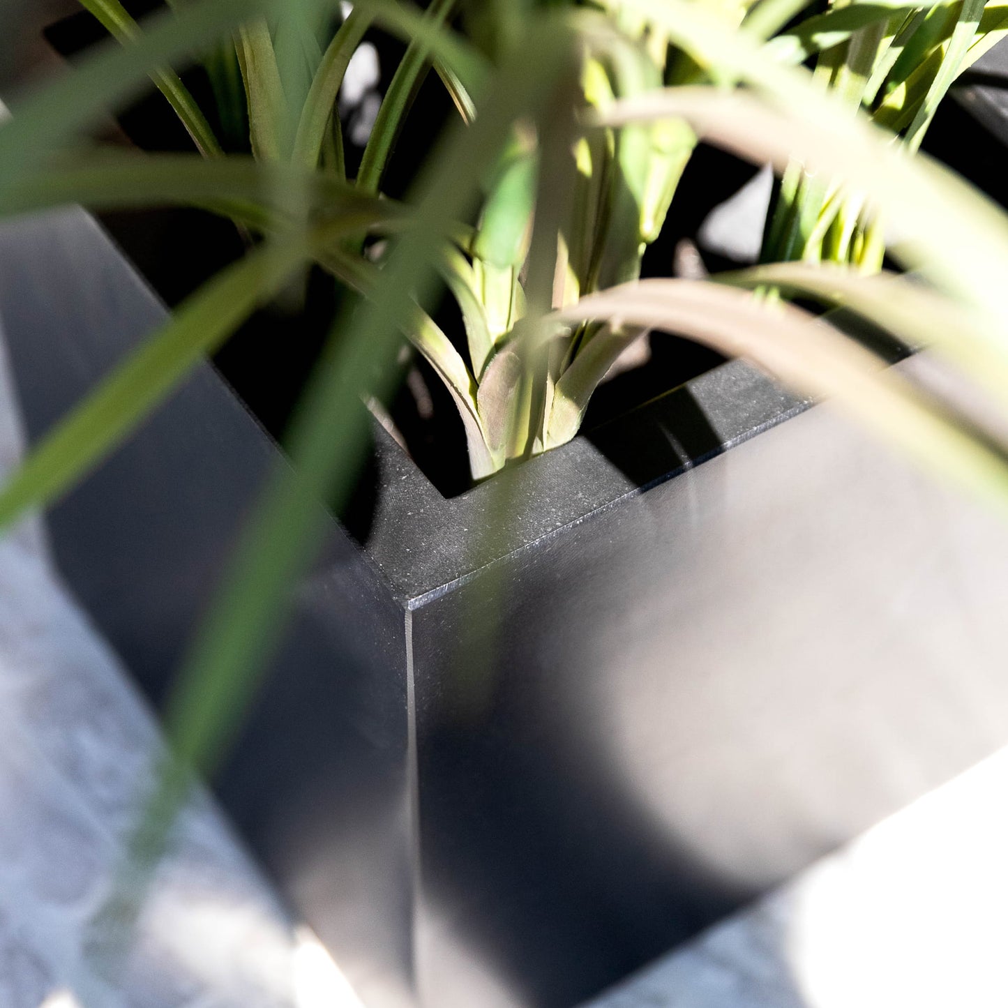 Argento Cube Black