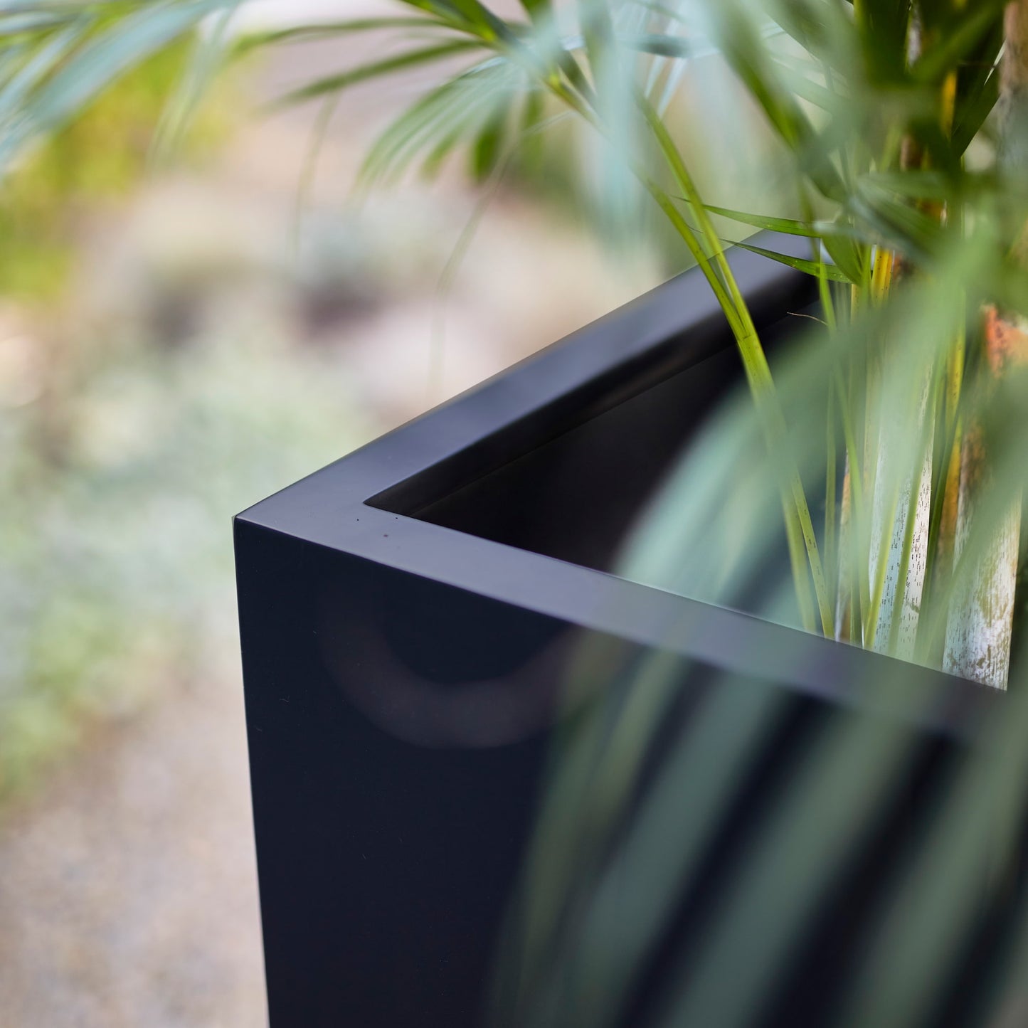 Argento High Cube Black