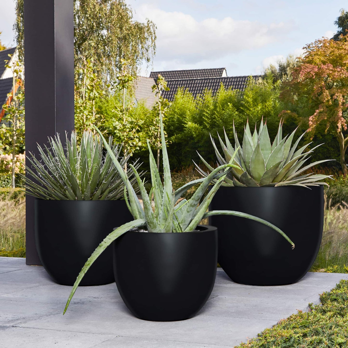 Argento New Egg Pot Black