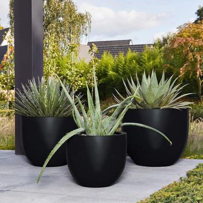 Argento New Egg Pot Black