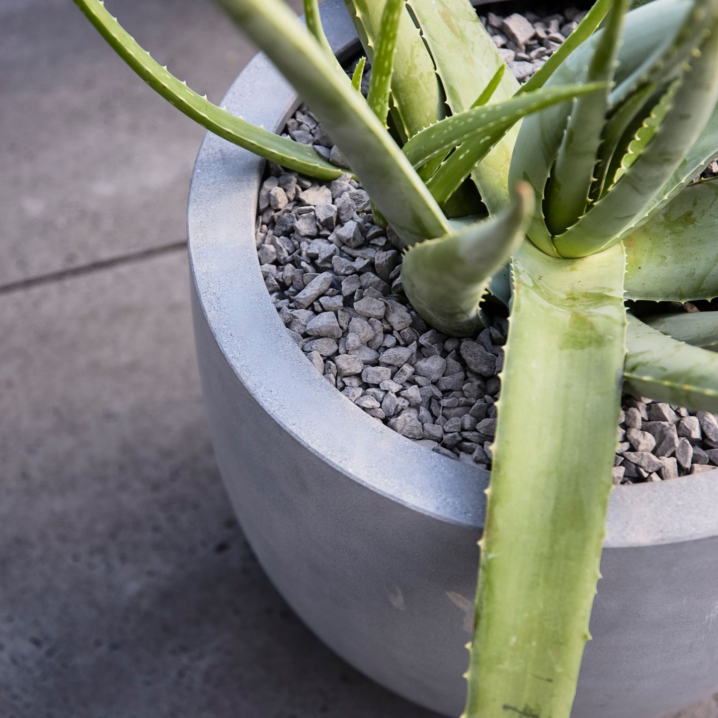 Argento New Egg Pot Natural Grey