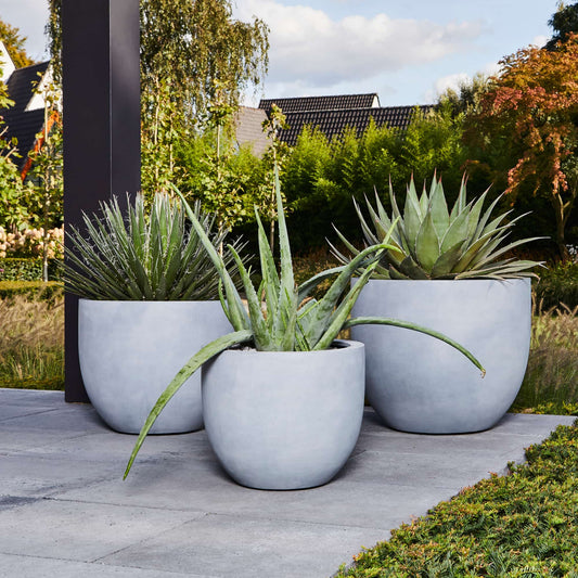 Argento New Egg Pot Natural Grey