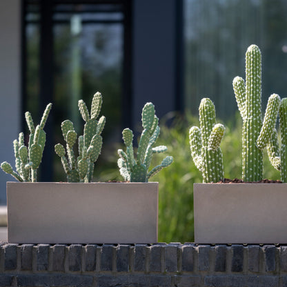 Balcony Taupe