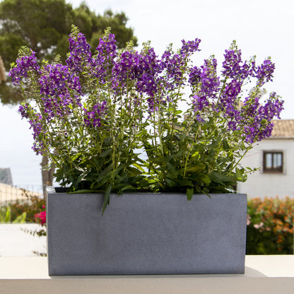 Balcony Grey
