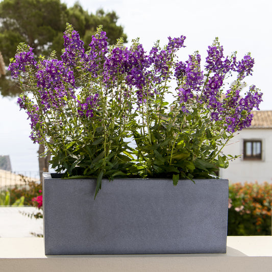 Balcony Grey