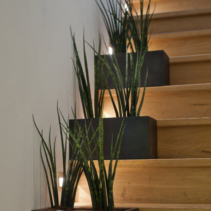 Balcony Black