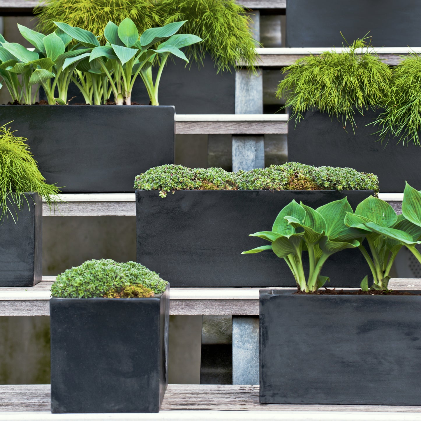 Balcony Black