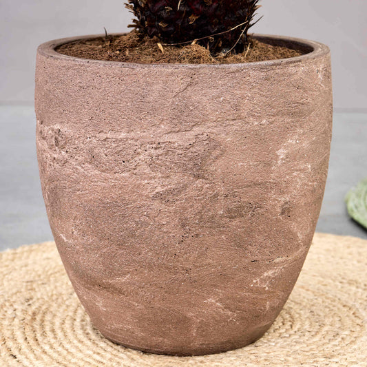 Baq Algar Couple Brown