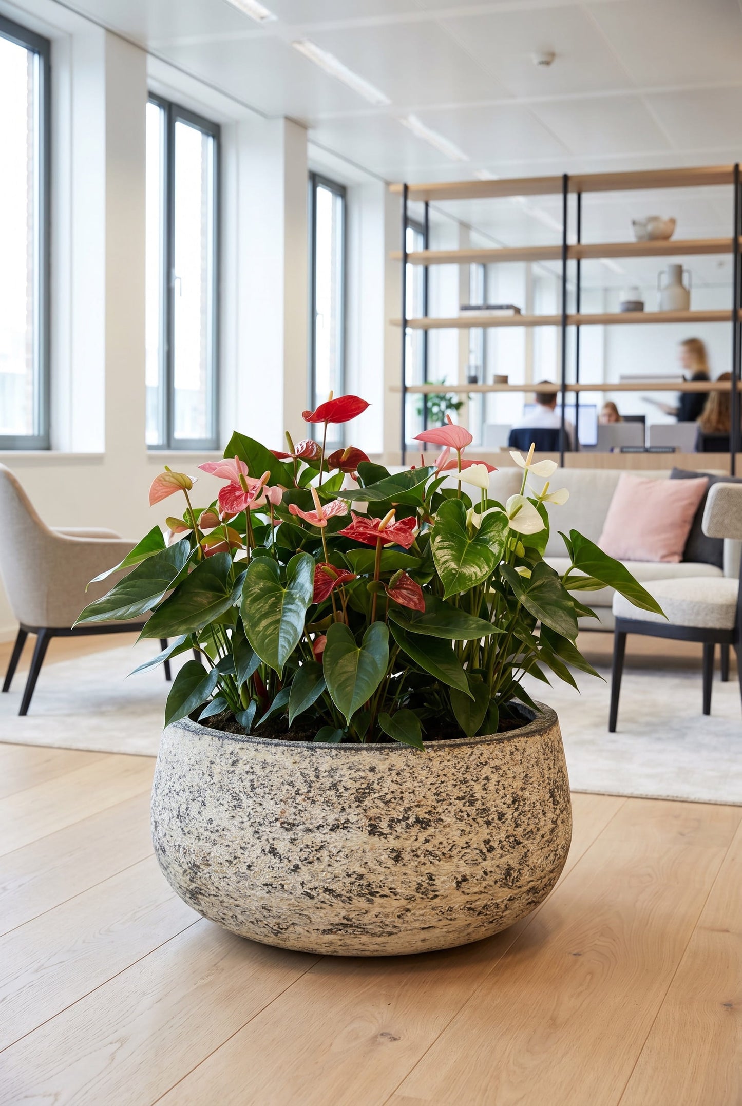 Baq Atlas Bowl White