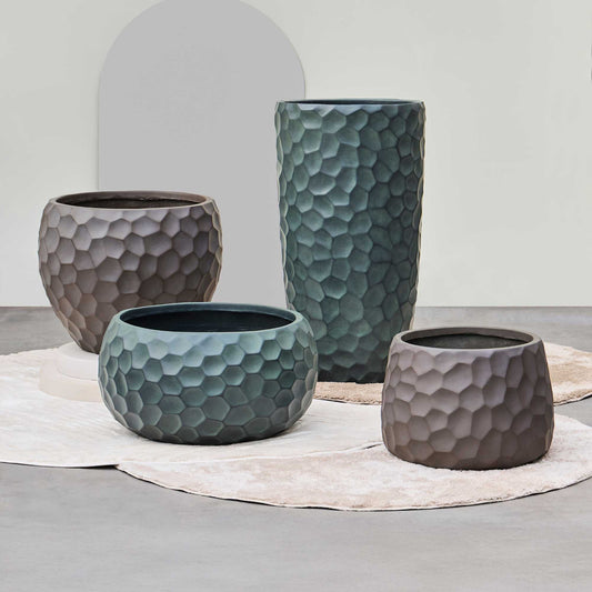 Baq Tortuga Globe Forest Green