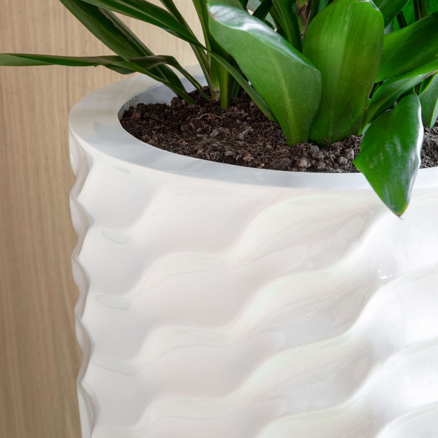 Baq Luxe Lite Glossy Breaker Partner White