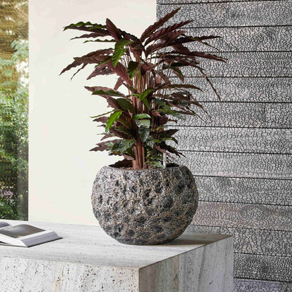 Baq Universe Moon Globe Bronze