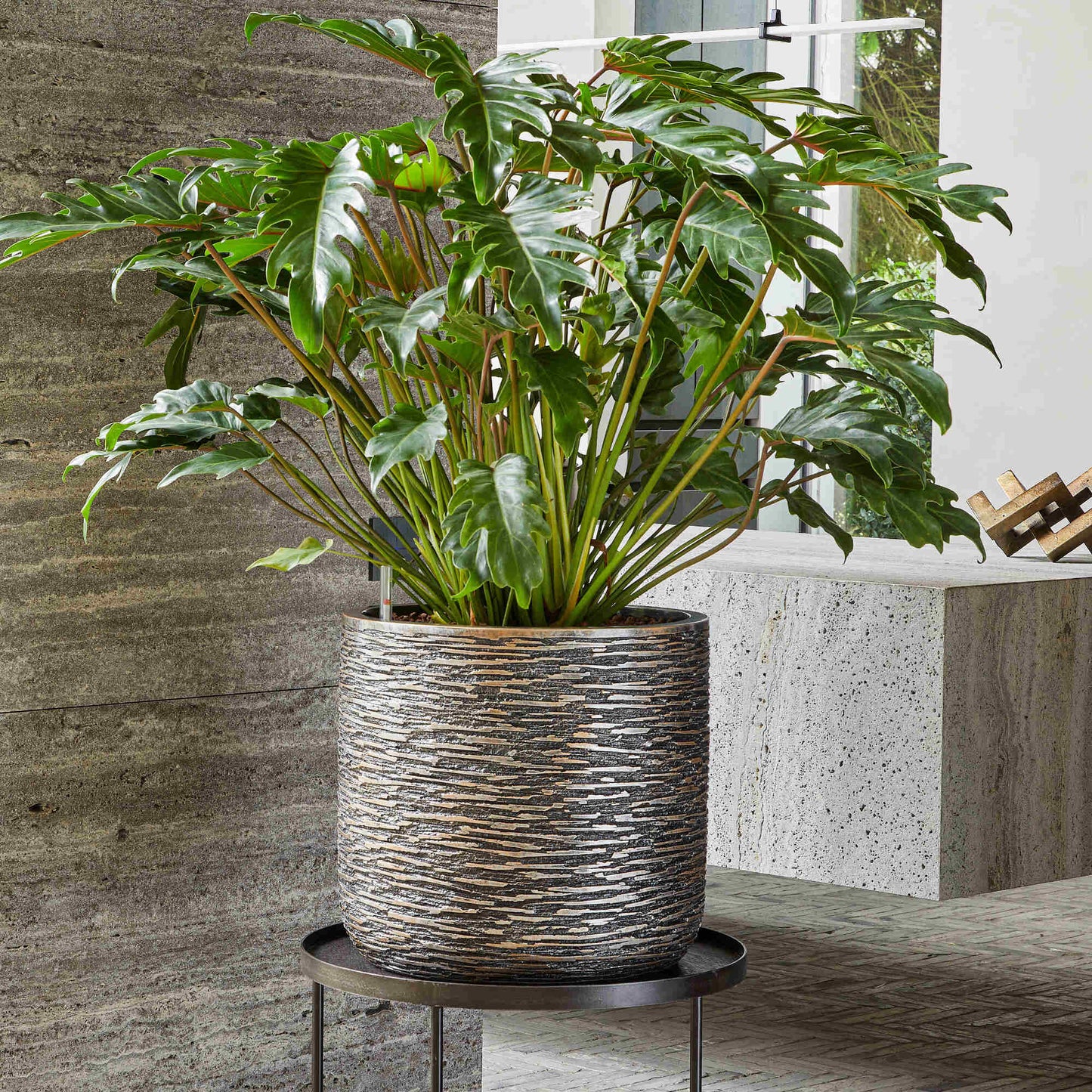 Baq Universe Wrinkle Cylinder Bronze