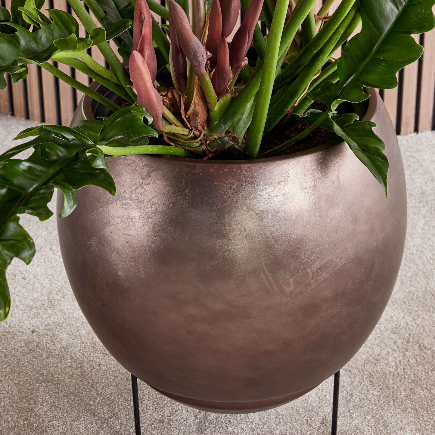 Baq Metallic Silver leaf Globe Elevated Matt Coffee s vložkou