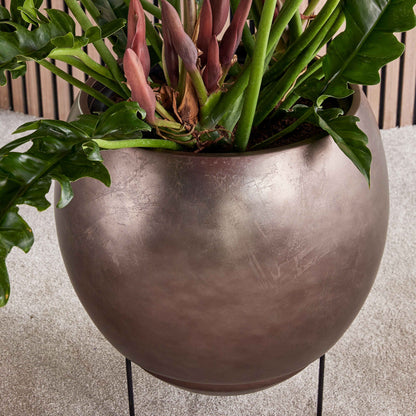 Baq Metallic Silver leaf Globe Elevated Matt Coffee s vložkou