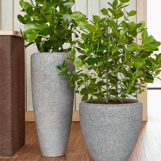 Baq Naturescast Partner Grey s vložkou