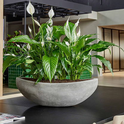 Baq Polystone Plain Boat Grey