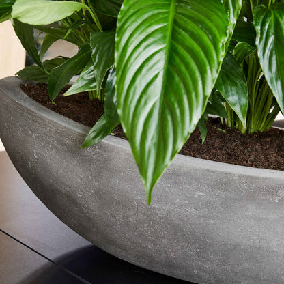 Baq Polystone Plain Boat Grey