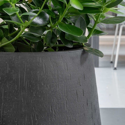 Baq Raindrop Darcy High Anthracite