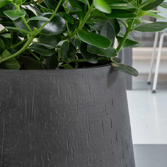Darcy High Anthracite