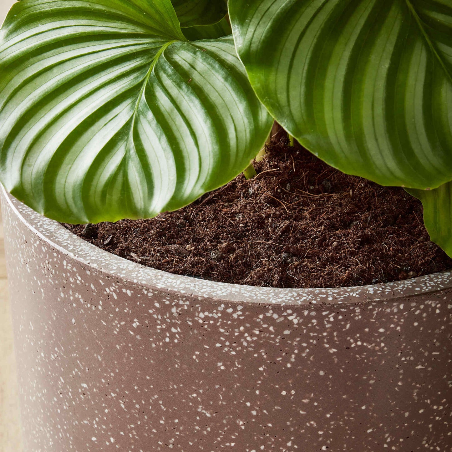 Baq Terrazzo Cylinder Mocha